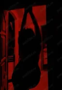 Web dominare web sexting si alte fantezii - imagine 2