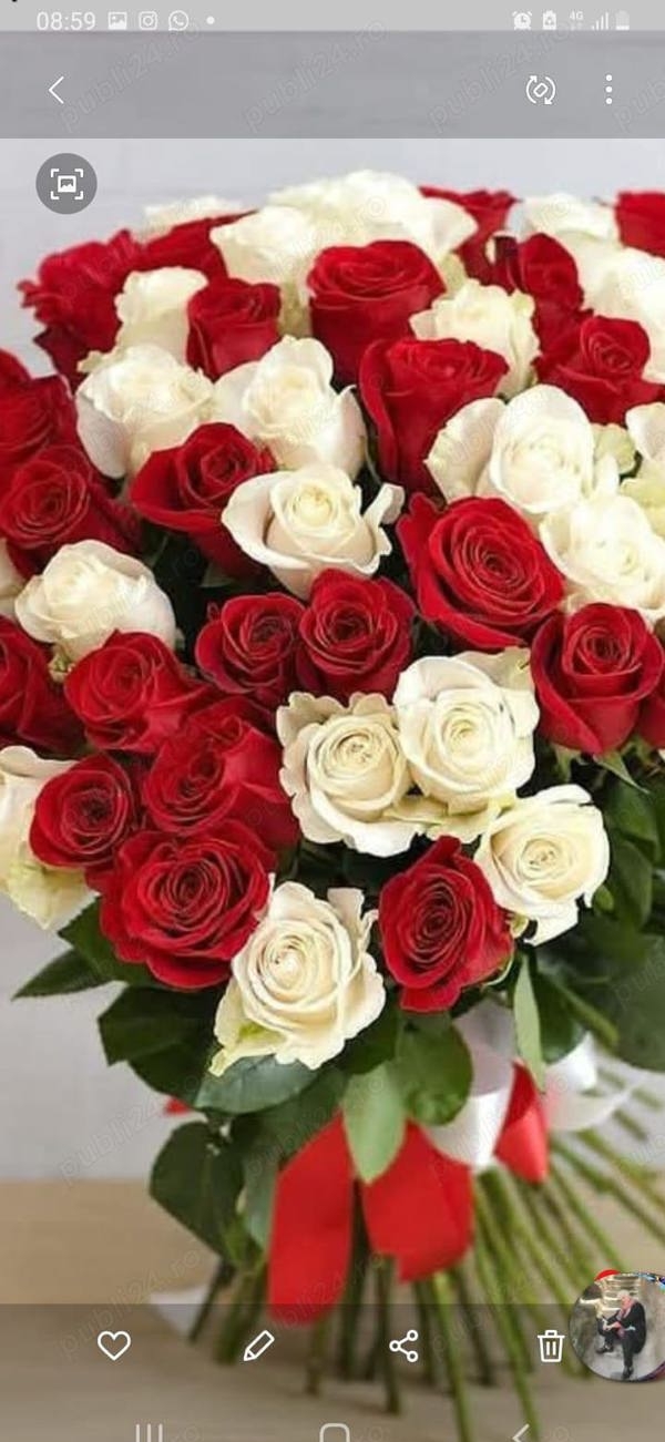 Buna barbat 40 anisori in bucharest sosit azi pentru doamne s i domnisoare ce se respecta pupici - imagine 4