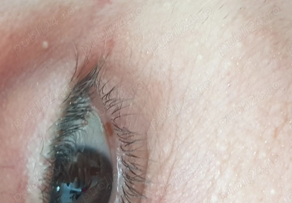 Domn serios - imagine 2