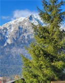 Domn casatorit - imagine 2