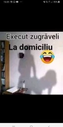 Barbat discret, 41 ani, obraznicuț in pat si potent ... - imagine 1