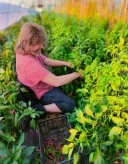 Buna ziua - imagine 1