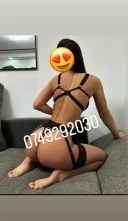 Bibi | Doar deplasări - imagine 1