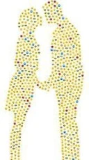 Cautam un CUPLU Doamna,Domnișoară. - imagine 1