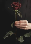 Dorinte pentru Doamne - imagine 1