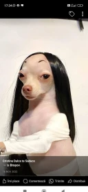 Travestiți Atenție gey au distrus Brașovul acum acționează oradia mare grija evitati - imagine 3