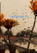 Anunț doar pentru doamne și domnișoare - imagine 1