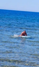 Doresc relatie discreta cu d-na d-ra, din Buzau sau Bucuresti! - imagine 1