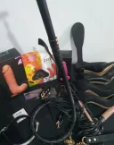 Stapana perversa - imagine 2