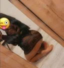 Buna noua in orasul tau fac si deplasari - imagine 2