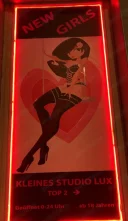 Studio vienna - imagine 1