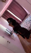 Doar show uri web - imagine 3