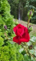 Relatie discreta - imagine 1