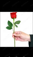 Relatie cu beneficii - imagine 1