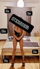 Total dominare deplasarii locatie show web - imagine 1