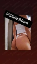 Total dominare deplasarii locatie show web - imagine 2