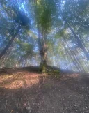 Masaj brasov - imagine 1