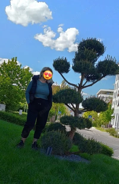 Sant o domnisoara placuta caut o relatie serioasa