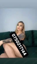 Show web pt programari doar pe wapp am si locatie - imagine 1