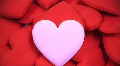 In cautarea dragostei