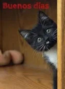 Buna caut cuplu cu el bi - imagine 1