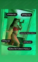 Bruneta sexy in orasul tau - imagine 4