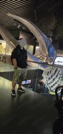 Pentru doamne si domnisoare - imagine 1