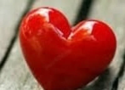 Domn generos atent discret