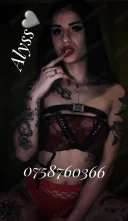 Alyss venita la voi pentru doar 5 zile - imagine 1