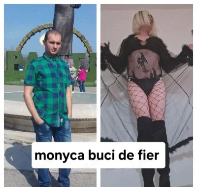 Adevarata mony trav nu trans