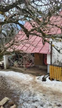 In cautarea noi prieteni - imagine 1