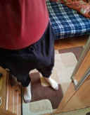 Relatie discreta cu beneficii reciproce - imagine 1