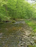 Casual fun - imagine 1