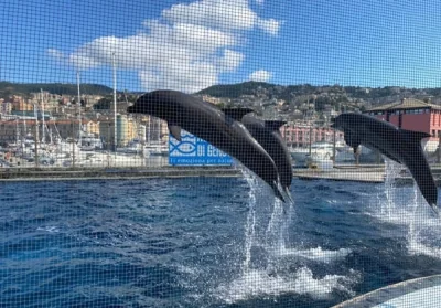 Caut o doamna nonconformista