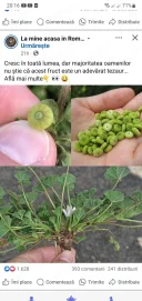 Caut amanta pofticioasa - imagine 1