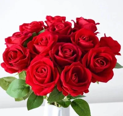 Servicii erotice doar pentru femei