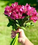 Un suflet singur - imagine 1