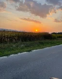 Doar doamne si domnisoare - imagine 1