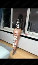 Karla noua in orasul tau fac si deplasari - imagine 1