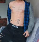 Initiez incepatori varsatil fac si web shou - imagine 4