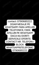 Show deluxe pe camera web - imagine 5