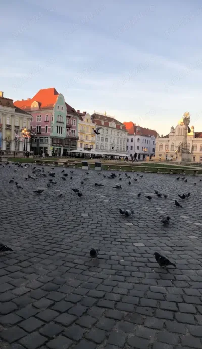 Sedinte speciale de masaj pentru cupluri relaxare caldura si conexiune