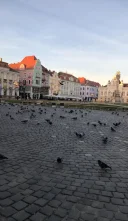 Sedinte speciale de masaj pentru cupluri relaxare caldura si conexiune - imagine 1