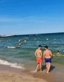 Francez origine romana - imagine 1