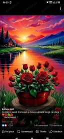 Buna doamnelor si domnisoarelor - imagine 1