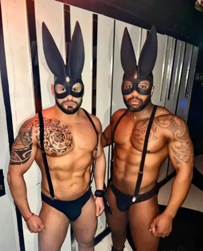 Doar show web sector 6 filmulete si videoclipuri