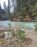 Tanar 36 ani nefumator nu consum alcool doresc o relatie cu o doamna serioasa pentru prietenie - imagine 1