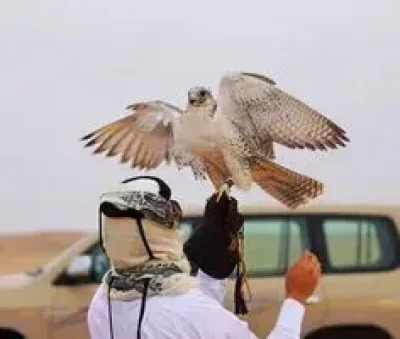 Tip educat simpatic si discret