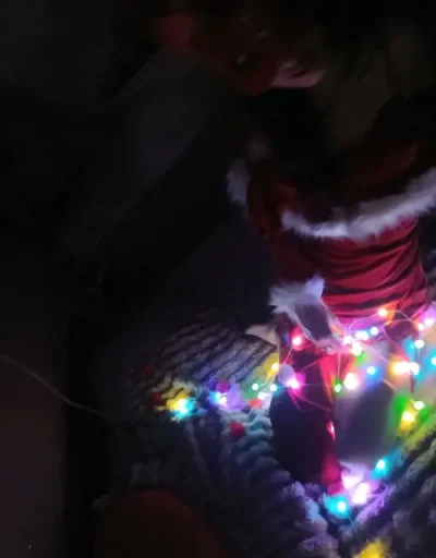 Show web confirmare pe web