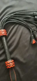 Stapana dominatoare - imagine 1